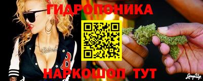 соль ск Усть-Илимск
