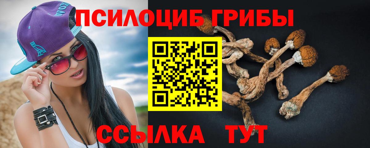 Псилоцибиновые грибы MAGIC MUSHROOMS  Вход с VPN  Ноябрьск 