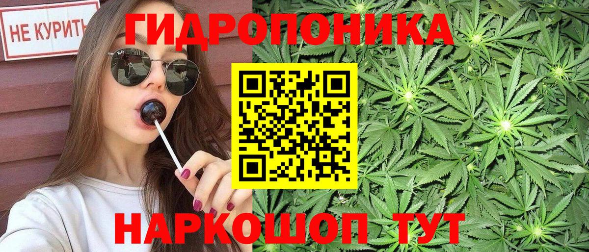 МАРИХУАНА ГИДРОПОН Ноябрьск